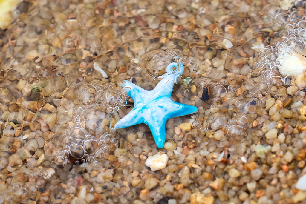 潮間  · 海星