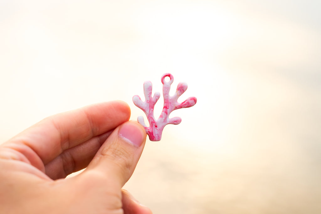 白化 · 珊瑚