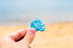 漂流 · 海螺