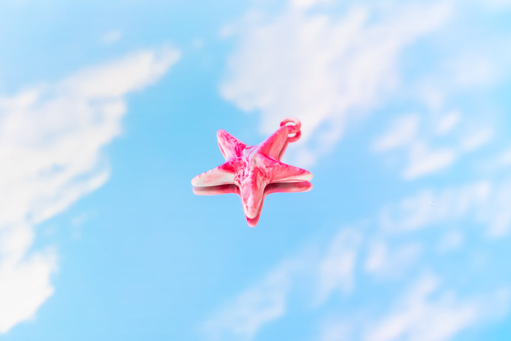 潮間  · 海星