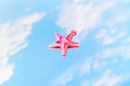 潮間  · 海星